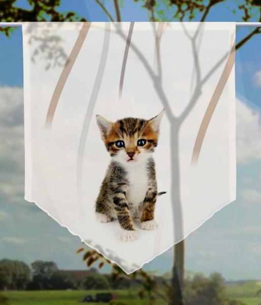 Findus vertic Katzenbaby, Scheibenhänger spitz